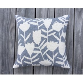 Fynsk Forr - Baldyre - Sren Nielsen