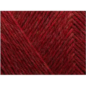 Arwetta 810 - Chrysanthemum Melange 