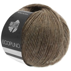 ECOPUNO 017 - Mrk Brun