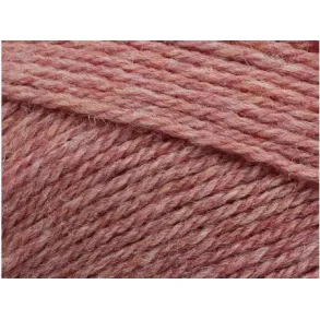 Pernilla  830 - Ranunculus Melange 